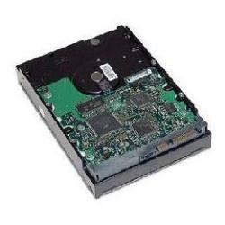 HP hard drive - 1 TB - SATA-300