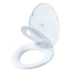 Summer Infant 2-in-1 Toilet Trainer, Oval