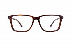 Lacoste L2719 214 Havana Glasses, Eyeglasses & Frames