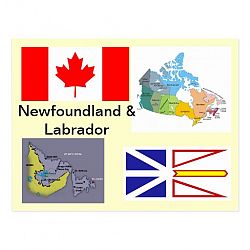 Newfoundland and Labrador Canada Postcard