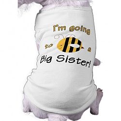 I'm going to be a big sister! T-shirt