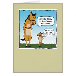 Funny birthday card: Little Horse Card