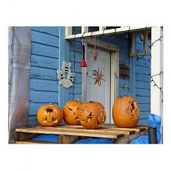 Carved Halloween Pumpkins Postcard