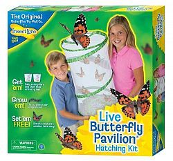 Insect Lore Live Butterfly Pavilion CustomerPackageType: Standard Packaging Model: 4100192 by Toys & Child
