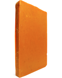 Juicy Orange Soap Auto renew - Slab / 1.9