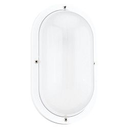 1-Light White Outdoor Wall Sconce