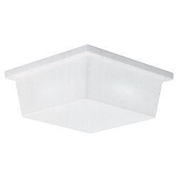 2 Light White Plastic Fluorescent Wall Or Ceiling Fixture