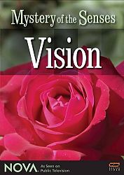 Mystery of the Senses: Vision