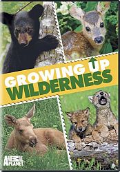Growing Up Wilderness [Import]