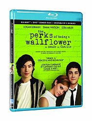 E1 Entertainment Perks Of Being A Wallflower (Blu-Ray/Dvd Combo) (Bilingual) No