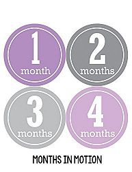 Months in Motion 164 Monthly Baby Stickers Baby Girl Month 1-12 Milestone Sticker by Months In Motion