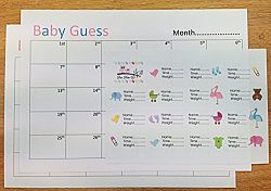 BABY SHOWER GAME IDEA BABY GUESS PREDICTIONS STICKER QUIZ CALENDAR BSG101 by Fancy Pants Store