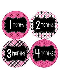 Months in Motion 401 Monthly Baby Stickers Month Girl Monthly Photo Milestone by Months In Motion