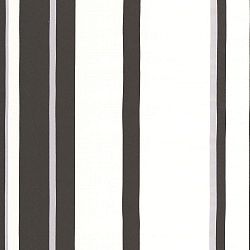 Hoppen Stripe Black/White/Silver Wallpaper