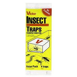 Poison-Free 4-Pack Insect Trap