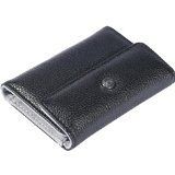 Fruwt Street Cred Premium Leather Wallet Case for iPod nano 3G (Black)