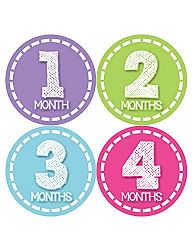 Months in Motion 376 Monthly Baby Girl Stickers Milestone Age Sticker Photo Prop