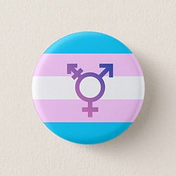 Transgender Symbol Pride Flag Button