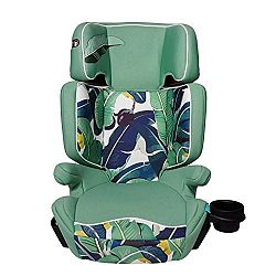 Aidia Explorer 2-in-1 Safety Booster Car Seat, Green/Blue