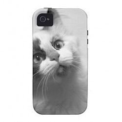 Black And White Kitten Portrait Vibe Iphone 4 Cover
