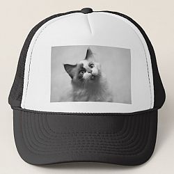 Black And White Kitten Portrait Trucker Hat