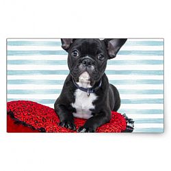 French Bulldog Puppy Portrait Rectangular Sticker