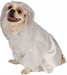 Adorable Bride Dog Costume