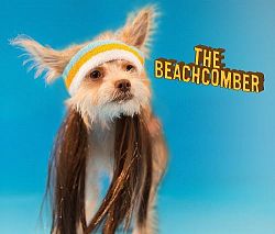 The Beachcomber Dog Headband
