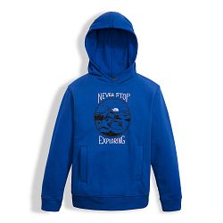 Boy's Logowear Pullover Hoodie-Bright Cobalt Blue