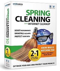 Spring Cleaning 10