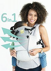 SIX-Position, 360° Ergonomic Baby & Child Carrier by LILLEbaby - The COMPLETE All Seasons (Silver Lining)