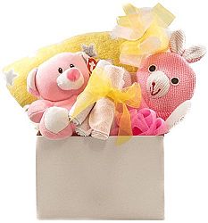 Baby Girl Snuggles Gift Basket with Blanket, Bath Accessory, Washcloths and Teddy