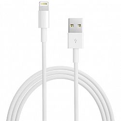 Lightning to USB Cable - MD818AM/A