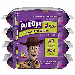 Pull-Ups Big Kid Flushable Wipes in Pouch - 4 pack