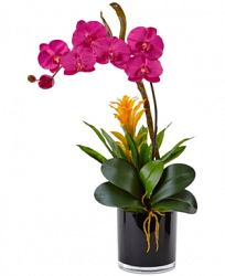 Nearly Natural Orchid & Bromeliad Artificial Arrangement in Glossy Black Cylinder Vase