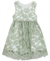 Rare Editions Little Girls Embroidered Lace Dress
