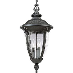 P5520-31 - Progress Lighting - Meridian - Three Light Outdoor Hanging Lantern Black Finish with Clear Seeded Glass - Meridian