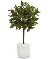 Nearly Natural 2' Sweet Bay Artificial Tree in White Glossy Cylinder Planter