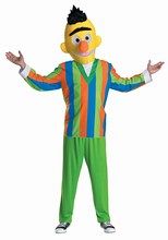 Bert Costume