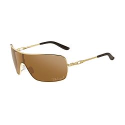 Distress - Polished Gold - Bronze Polarized Lens Sunglasses-No Color