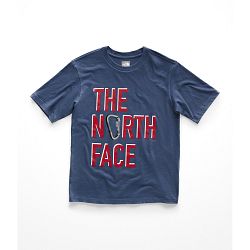 Boy's Short Sleeve Graphic Tee-Shady Blue - Tnf Red