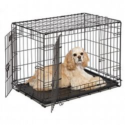 The Company Of Animals Midwest Homes Icrate 30" Medium 2-Door Dog Crate Black M