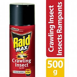 Raid Max Ant, Roach, Earwig And Crawling Insect Killer Spray, 500G
