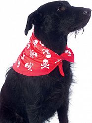 Pirate Pet Bandanna With Skull and Crossbones