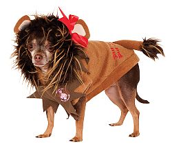 Wizard of Oz Cowardly Lion Pet Costume