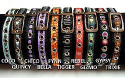 All small collars - Gypsy / Sm fits 11-14 inch