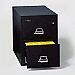 Fireproof Two Drawer Legal Size Vertical File 25"D Black