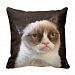 Grumpy Cat Brown Pillow