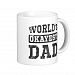 Vintage World's Okayest Dad Classic Mug