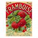 Vintage French Framboise (Raspberry) Postcard